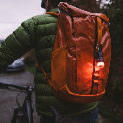 Carabiner light kit